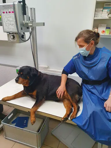 Silvet - Przychodnia Weterynaryjna